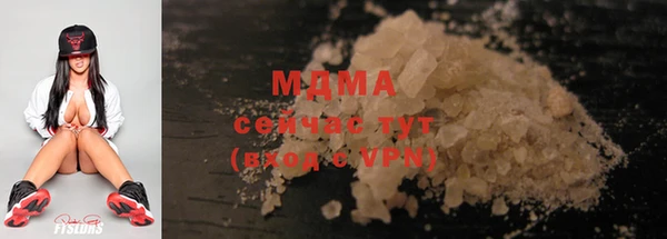 прущие грибы Ноябрьск